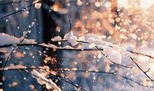 记忆中最美的地方_900字