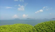 【电影征文】电影如梦，人生如虹_1000字