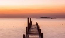 致美国总统的一封信_650字