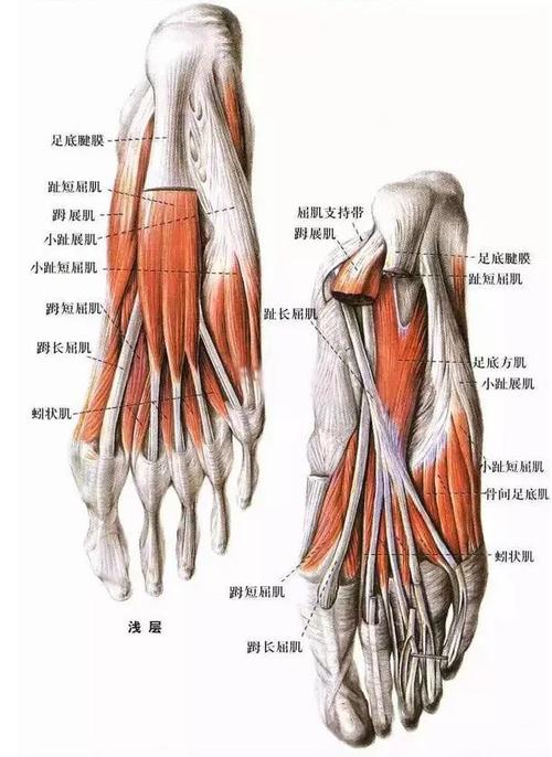 [游戏]运动会的奥秘_900字