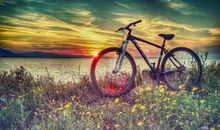 梦想很近_1200字