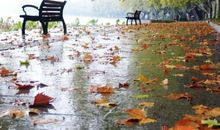 我是大自然中的一员——秋雨_600字