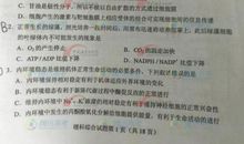 2017年全国卷3高考命题作文范文：让命运之舟驶向更浩瀚的海洋——我看高考