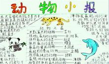 散步的咖啡_900字