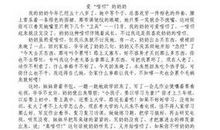 五年级期中考试作文：那片红叶留在我记忆深处_450字