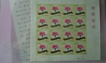 致妈妈的信_1200字