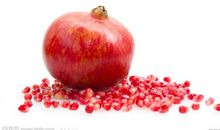 石榴的启示_450字