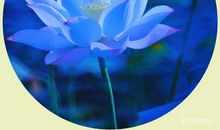 “税收”在我心中扎根_1000字