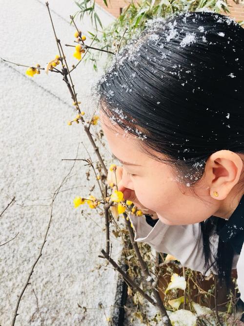 第61章热液洞穴理论