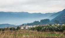 家乡的路，淌着甘甜_750字