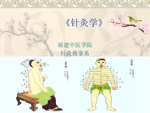 第57章经络学说