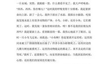 心灵的呼唤_650字