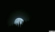 洒满心房的月光_500字