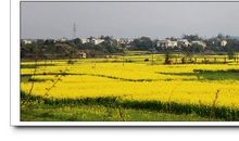 关于家乡的作文：家乡水・回忆_900字