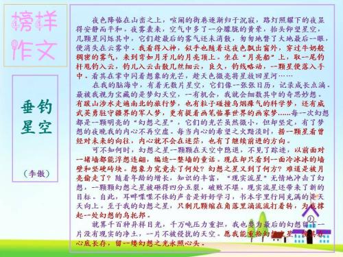 [PK赛]表达自我的构图：我是我的舞台大师，共800个字