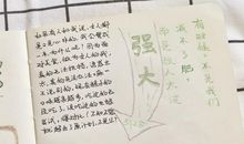 关于家乡的作文：我家乡的端午节_750字