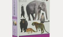 我是哺乳动物_500字