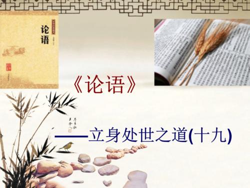 紫章19号