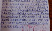 关于同学的作文：友谊之花_800字