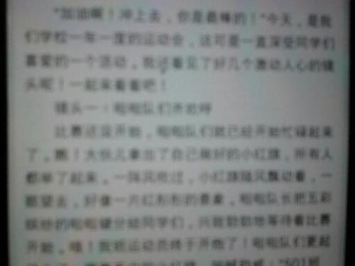运动会组成：不超过标准运动会_750字