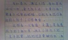 我写的作文获奖了