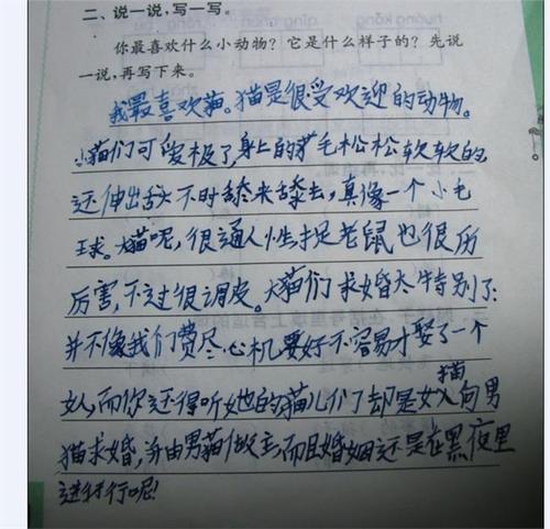 不能买“爱” _300字