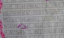 我的同学18_350字