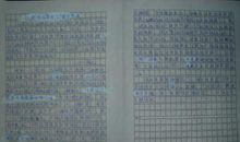 关于运动会的作文：记一次精彩的运动会_700字