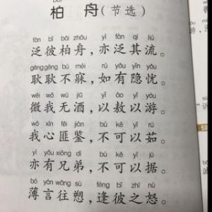 白舟