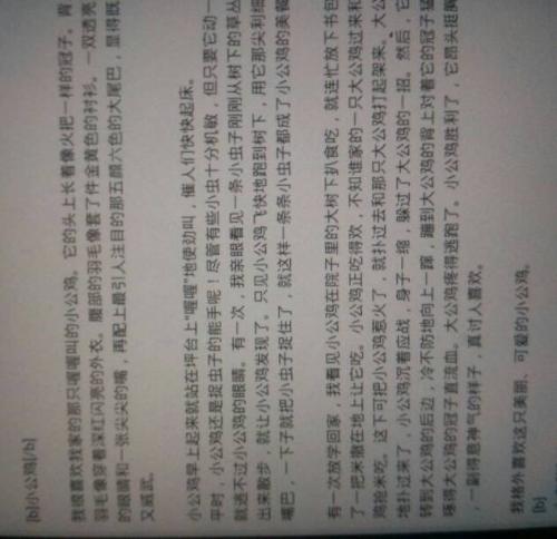 令人敬佩的朋友500字