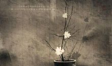 [运动会]遗憾与温暖_750字