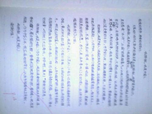 寂寞森林_450字