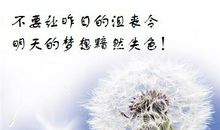 生命的价值_650字