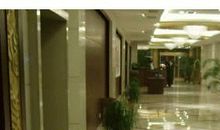 [运动会]白华_1000字