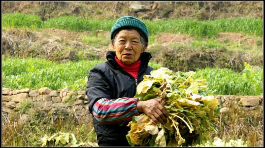 三命镜_1500字