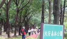 大安森林公园游记_500字