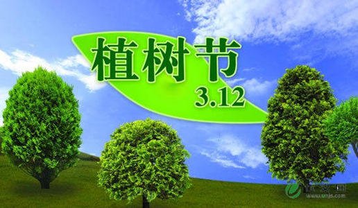 小学植树节活动计划_300字