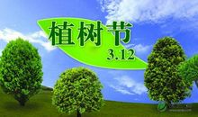 小学植树节活动方案_300字