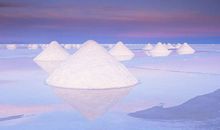 物以稀为贵_800字