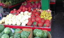 我家的“水果”_500字