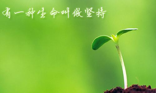 Light_600字