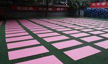 [运动会]运动会时光_500字