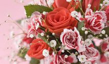 亲情的思念_700字