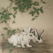 亩笱