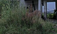 被遗弃的城_700字