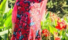 难忘的亲情_1500字