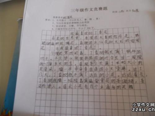 三年级期末考试作文：故乡的小河_400字