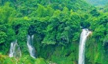 美丽的龙潭森林公园_550字