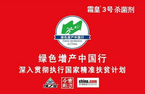 [PK赛]关于我的中国梦的构图：中国梦，中文行_800字