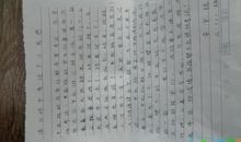 体会盲人_400字
